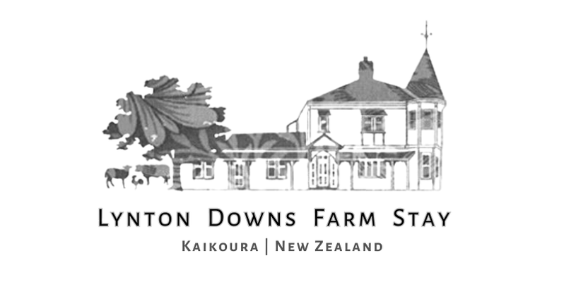 Lynton Downs Farmstay - Kaikoura - New Zealand